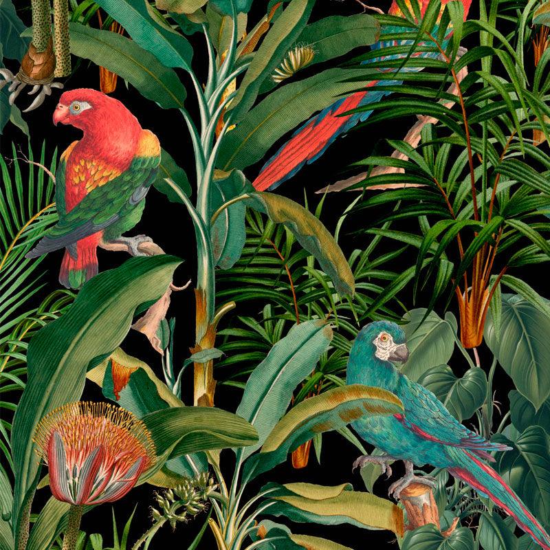 Carta da parati Mindthegap Parrots of Brasil - Brand_Mindthegap, Fantasia_Natura - Carte da parati - Mindthegap