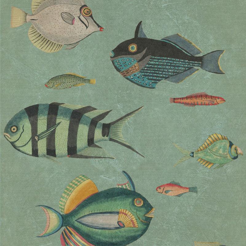 Carta da parati Mindthegap Poissons - Brand_Mindthegap, Fantasia_Natura - Carte da parati - Mindthegap