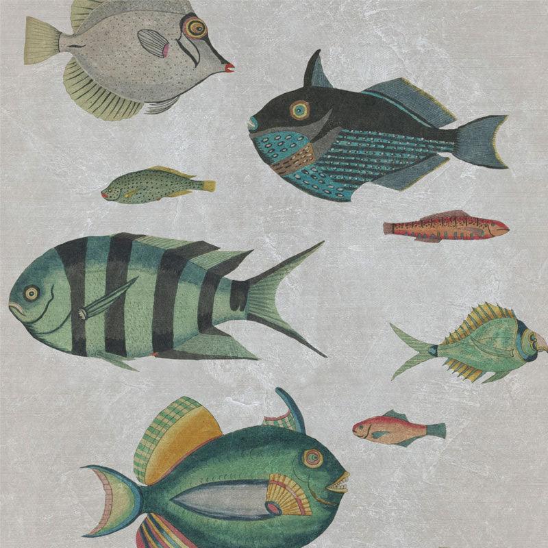 Carta da parati Mindthegap Poissons - Brand_Mindthegap, Fantasia_Natura - Carte da parati - Mindthegap