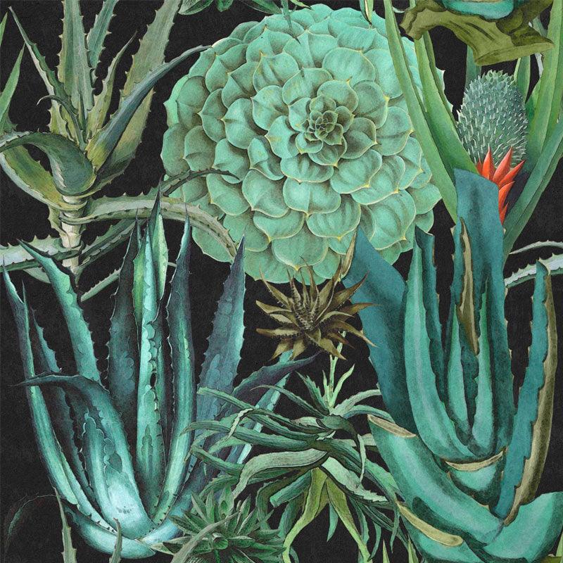 Carta da parati Mindthegap Succulentus - Brand_Mindthegap, Fantasia_Natura - Carte da parati - Mindthegap
