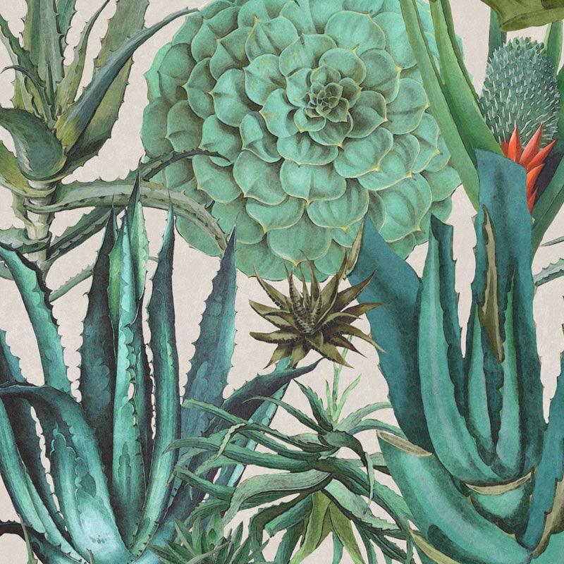 Carta da parati Mindthegap Succulentus - Brand_Mindthegap, Fantasia_Natura - Carte da parati - Mindthegap