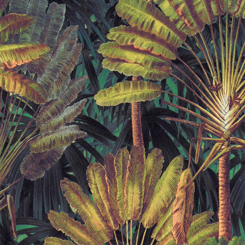 Carta da parati Mindthegap Traveller's Palm - Brand_Mindthegap, Fantasia_Natura - Carte da parati - Mindthegap