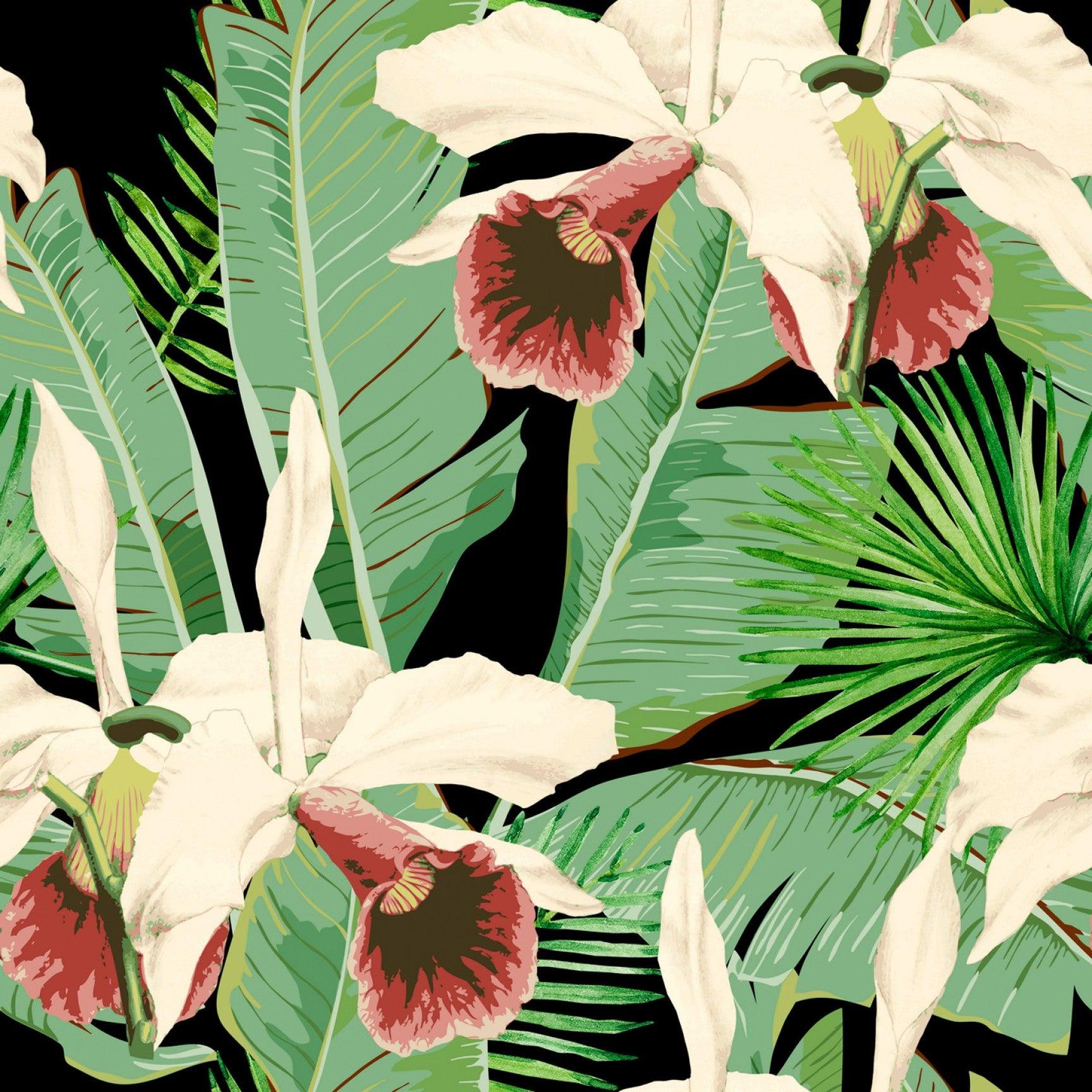 Carta da parati Mindthegap Treasure Island - Brand_Mindthegap, Fantasia_Natura - Carte da parati - Mindthegap