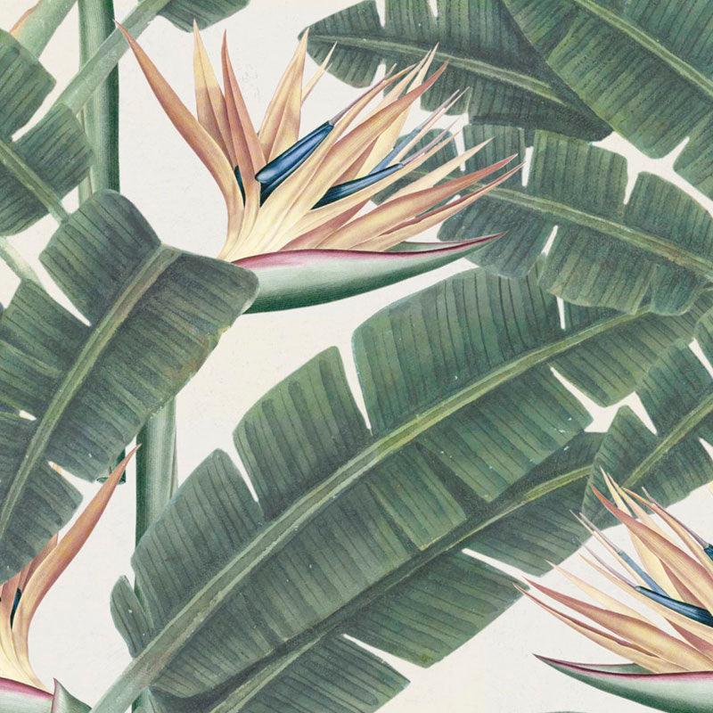 Carta da parati Mindthegap Tropical Bloom - Brand_Mindthegap, Fantasia_Natura - Carte da parati - Mindthegap