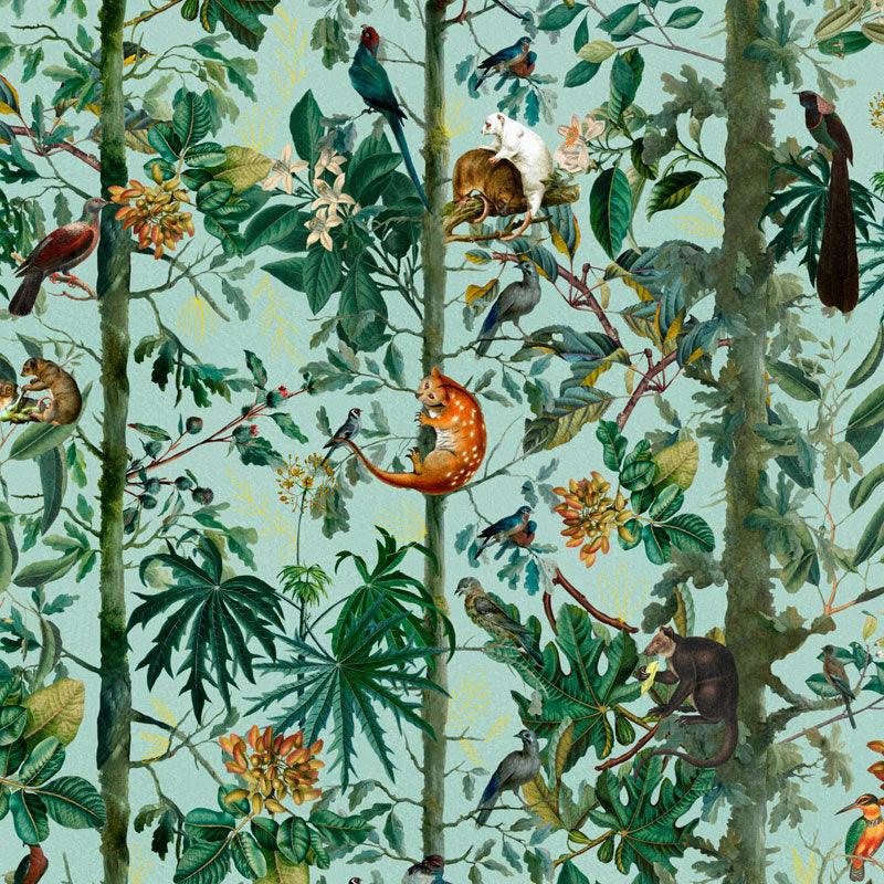 Carta da parati Mindthegap Wildlife of Papua - Brand_Mindthegap, Fantasia_Natura - Carte da parati - Mindthegap
