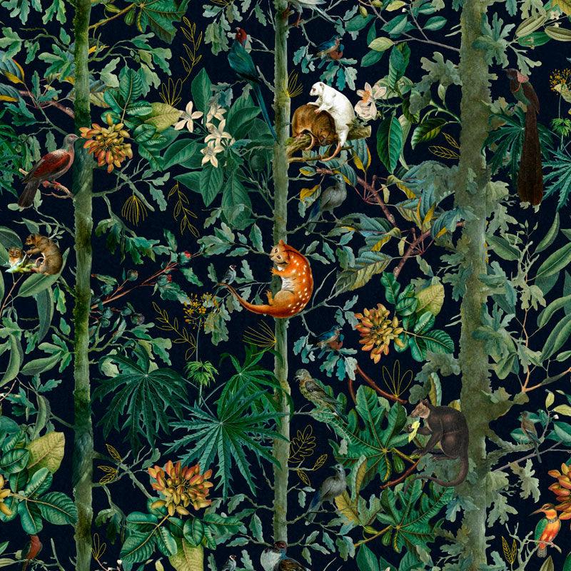 Carta da parati Mindthegap Wildlife of Papua - Brand_Mindthegap, Fantasia_Natura - Carte da parati - Mindthegap