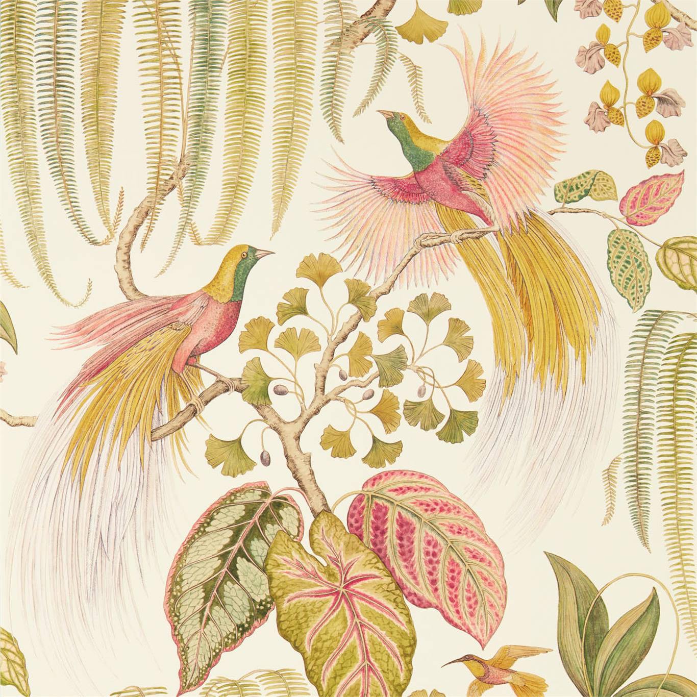 Carta da Parati Sanderson Bird of Paradise - Brand_Sanderson, Fantasia_Natura - Carte da parati - Sanderson