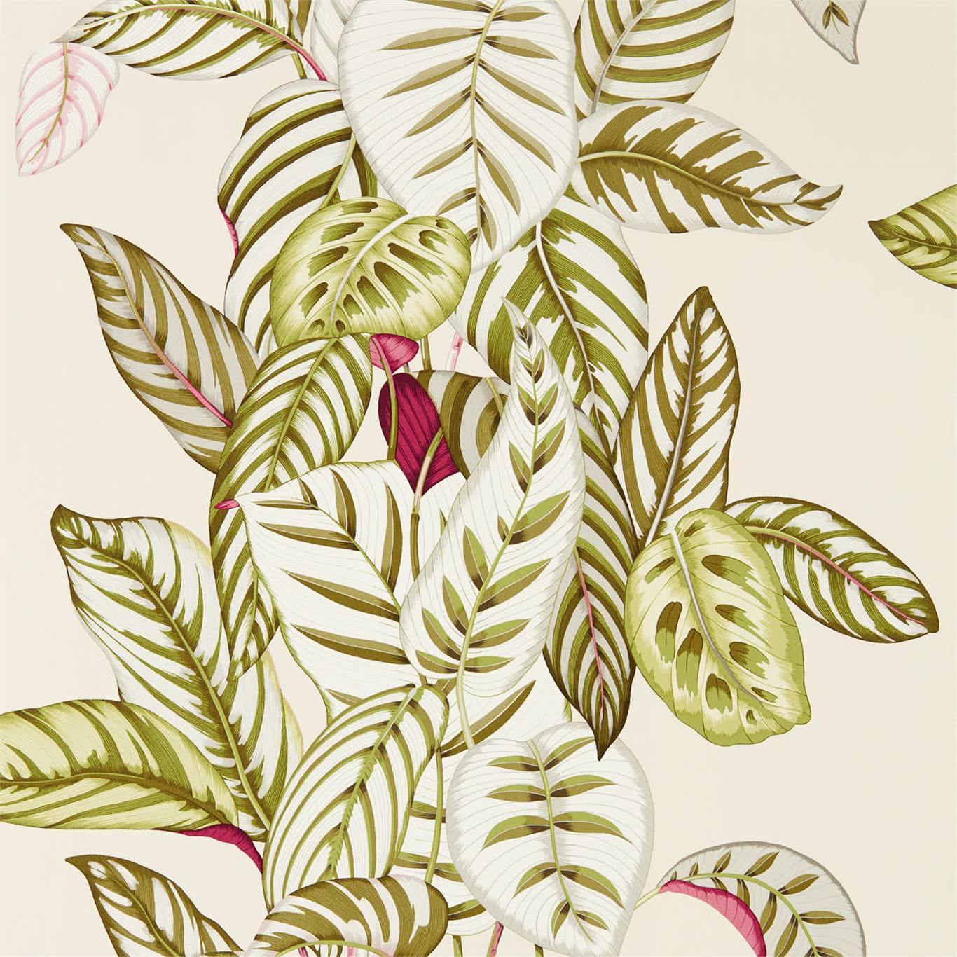 Carta da Parati Sanderson Calathea - Brand_Sanderson, Fantasia_Natura - Carte da parati - Sanderson
