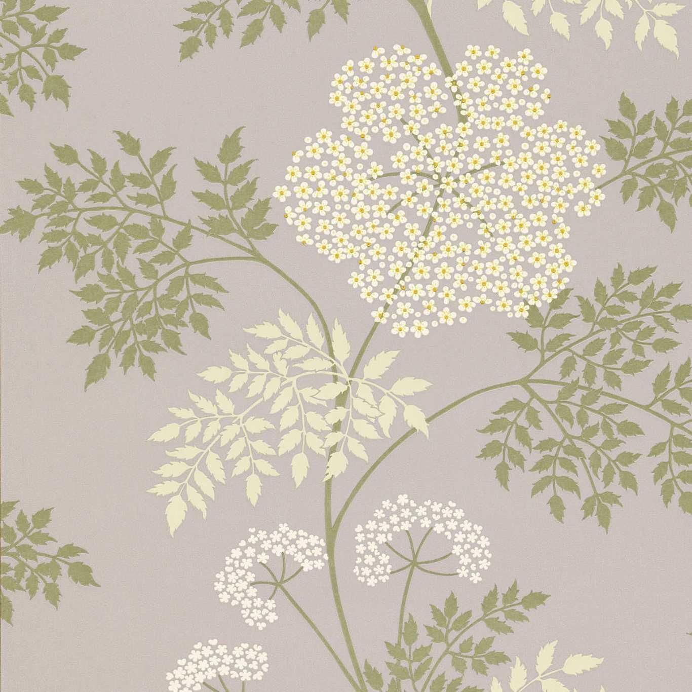 Carta da Parati Sanderson Cowparsley - Brand_Sanderson, Fantasia_Fantasia - Carte da parati - Sanderson