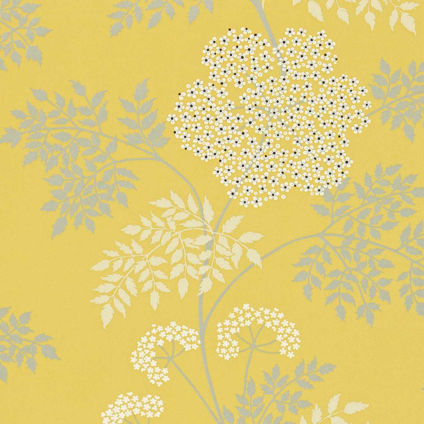 Carta da Parati Sanderson Cowparsley - Brand_Sanderson, Fantasia_Fantasia - Carte da parati - Sanderson