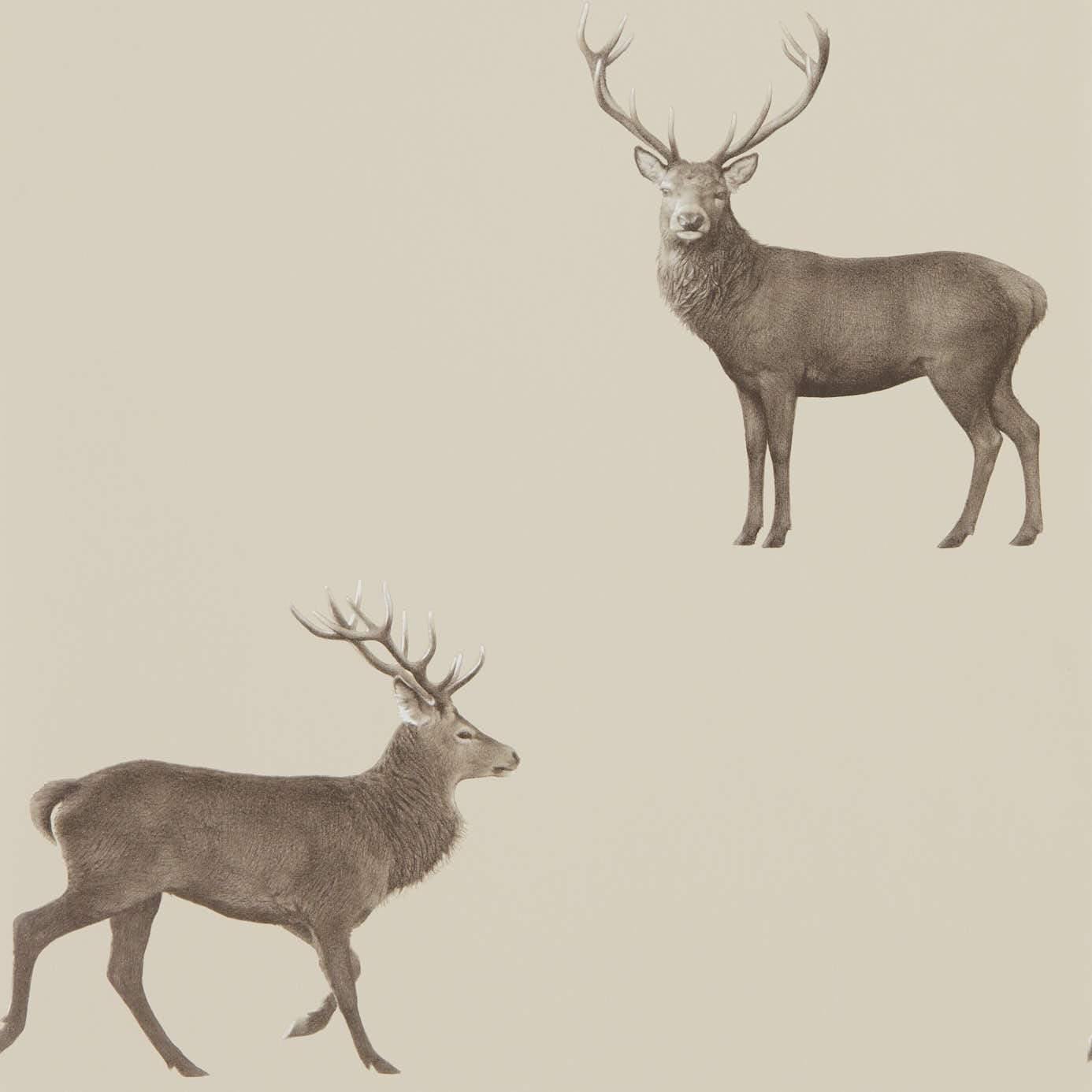 Carta da parati Sanderson Evesham Deer - Brand_Sanderson, Fantasia_Fantasia - Carte da parati - Sanderson