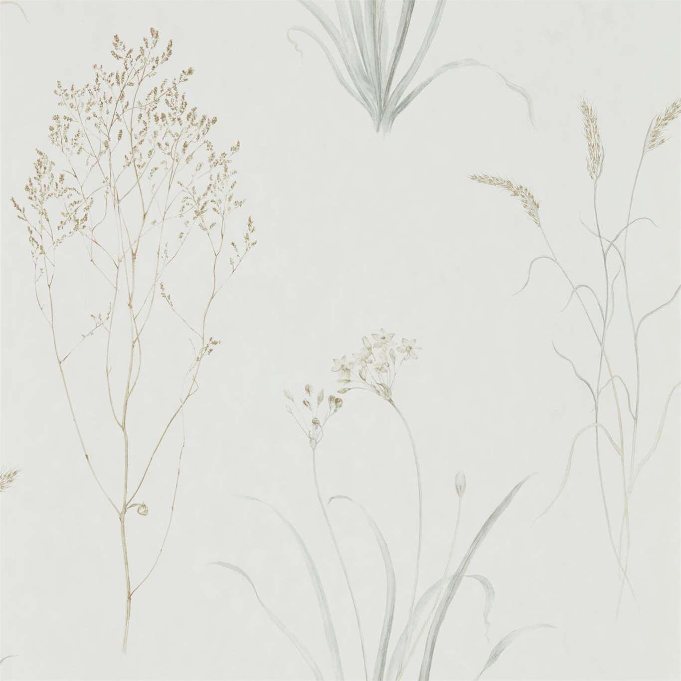 Carta da parati Sanderson Farne Grasses - Brand_Sanderson, Fantasia_Natura - Carte da parati - Sanderson