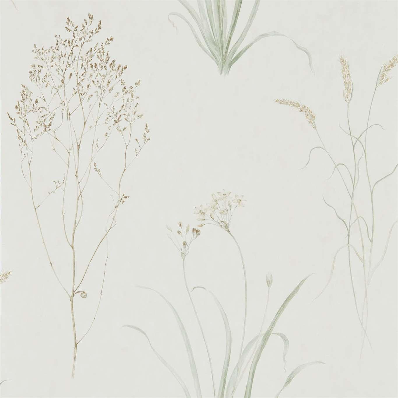 Carta da parati Sanderson Farne Grasses - Brand_Sanderson, Fantasia_Natura - Carte da parati - Sanderson