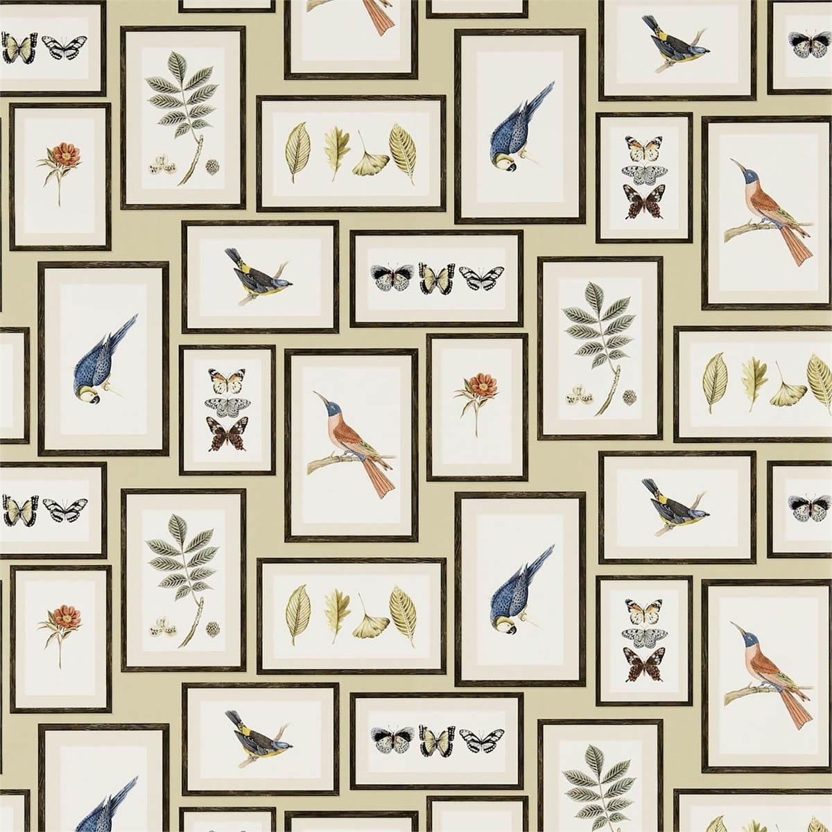 Carta da parati Sanderson Picture Gallery - Brand_Sanderson, Fantasia_Natura - Carte da parati - Sanderson