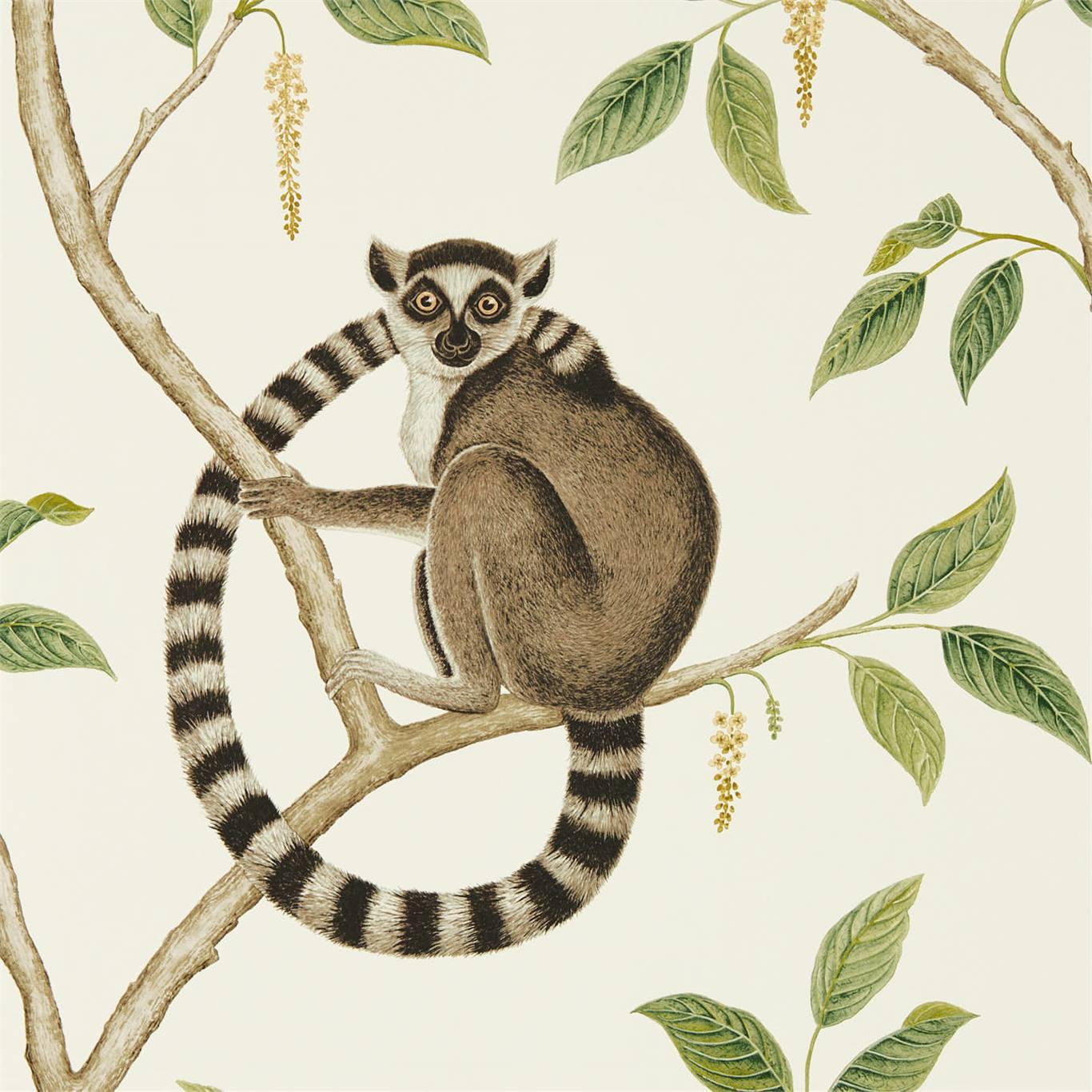 Carta da Parati Sanderson Ringtailed Lemur - Brand_Sanderson, Fantasia_Fantasia - Carte da parati - Sanderson