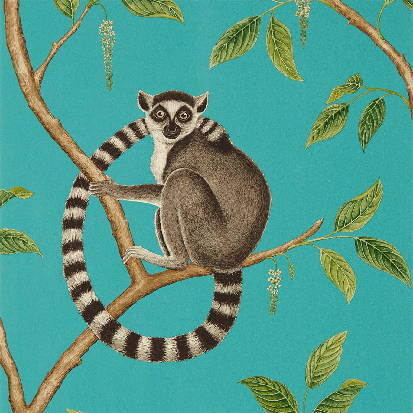 Carta da Parati Sanderson Ringtailed Lemur - Brand_Sanderson, Fantasia_Fantasia - Carte da parati - Sanderson