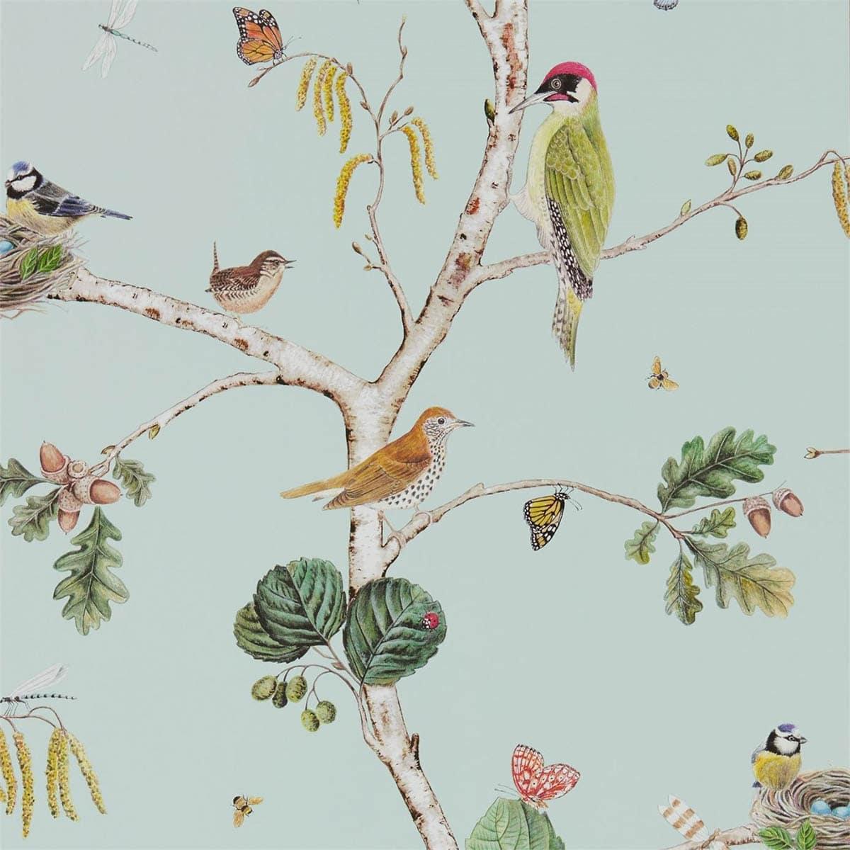 Carta da parati Sanderson Woodland Chorus - Fantasia_Natura, Sanderson - Carte da parati - Sanderson