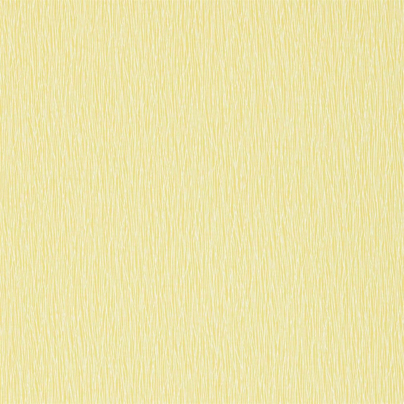 Carta da parati Scion Bark - Brand_Scion, Fantasia_Monocromatica - Carte da parati - Scion