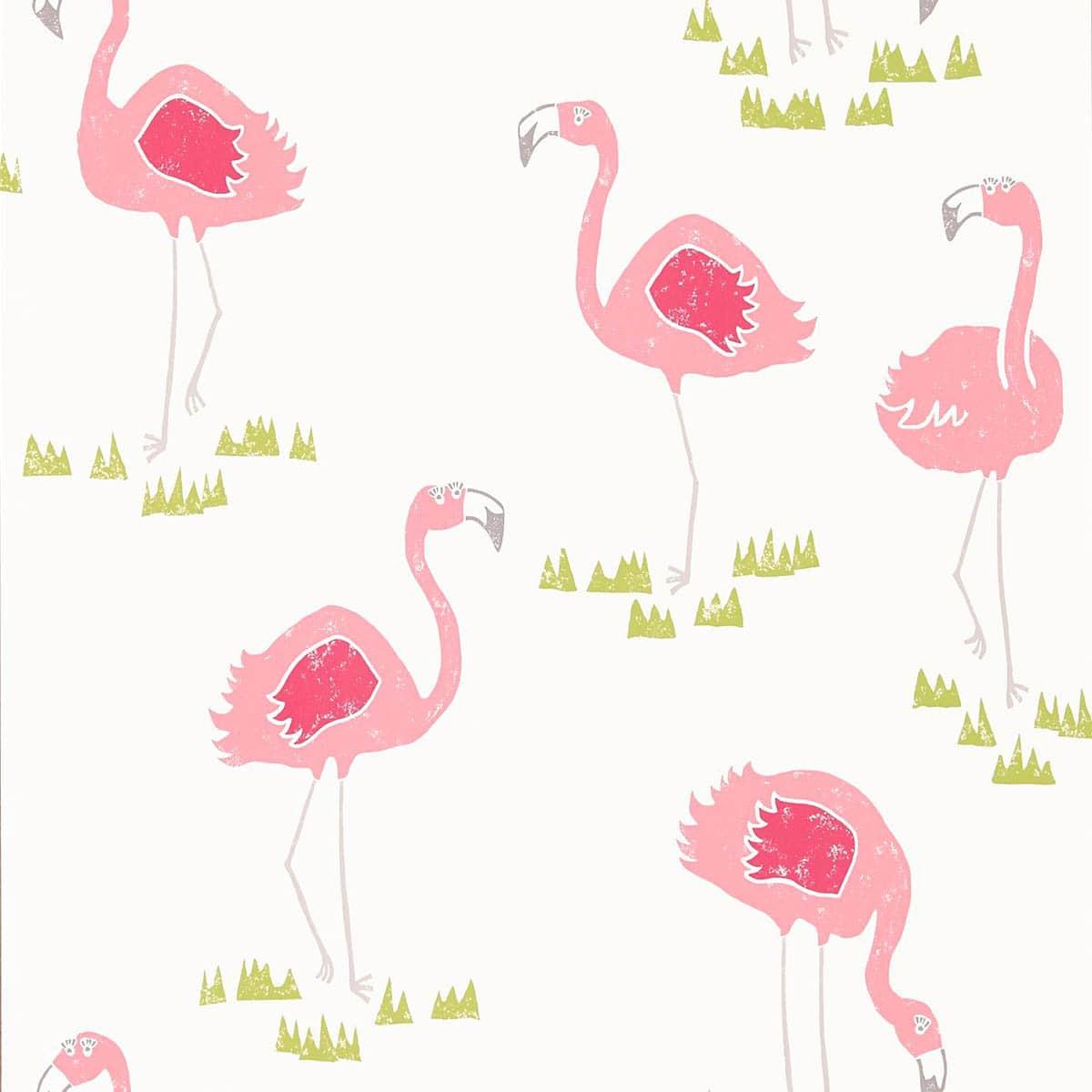 Carta da parati Scion Felicity Flamingo - Brand_Scion, Fantasia_Natura - Carte da parati junior - Scion