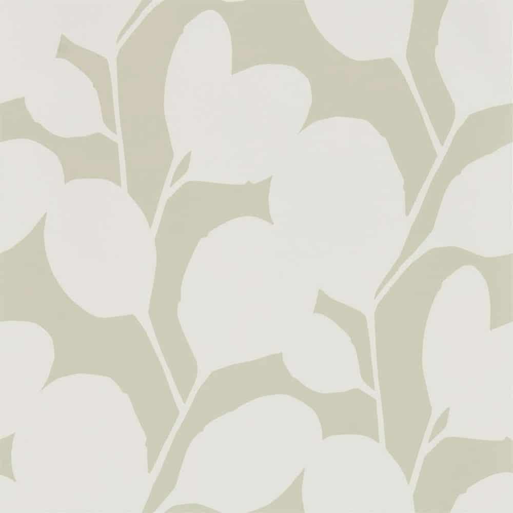 Carta da parati Scion Ocotillo - Brand_Scion, Fantasia_Natura - Carte da parati - Scion