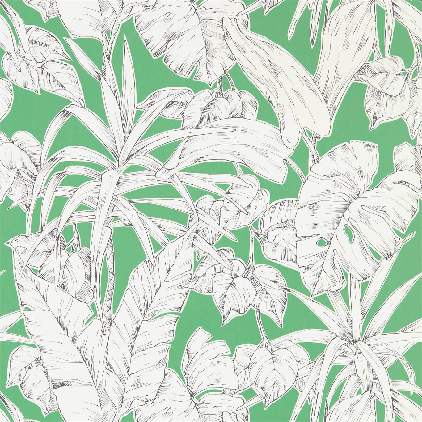 Carta da parati Scion Parlour Palm - Brand_Scion, Fantasia_Natura - Carte da parati - Scion