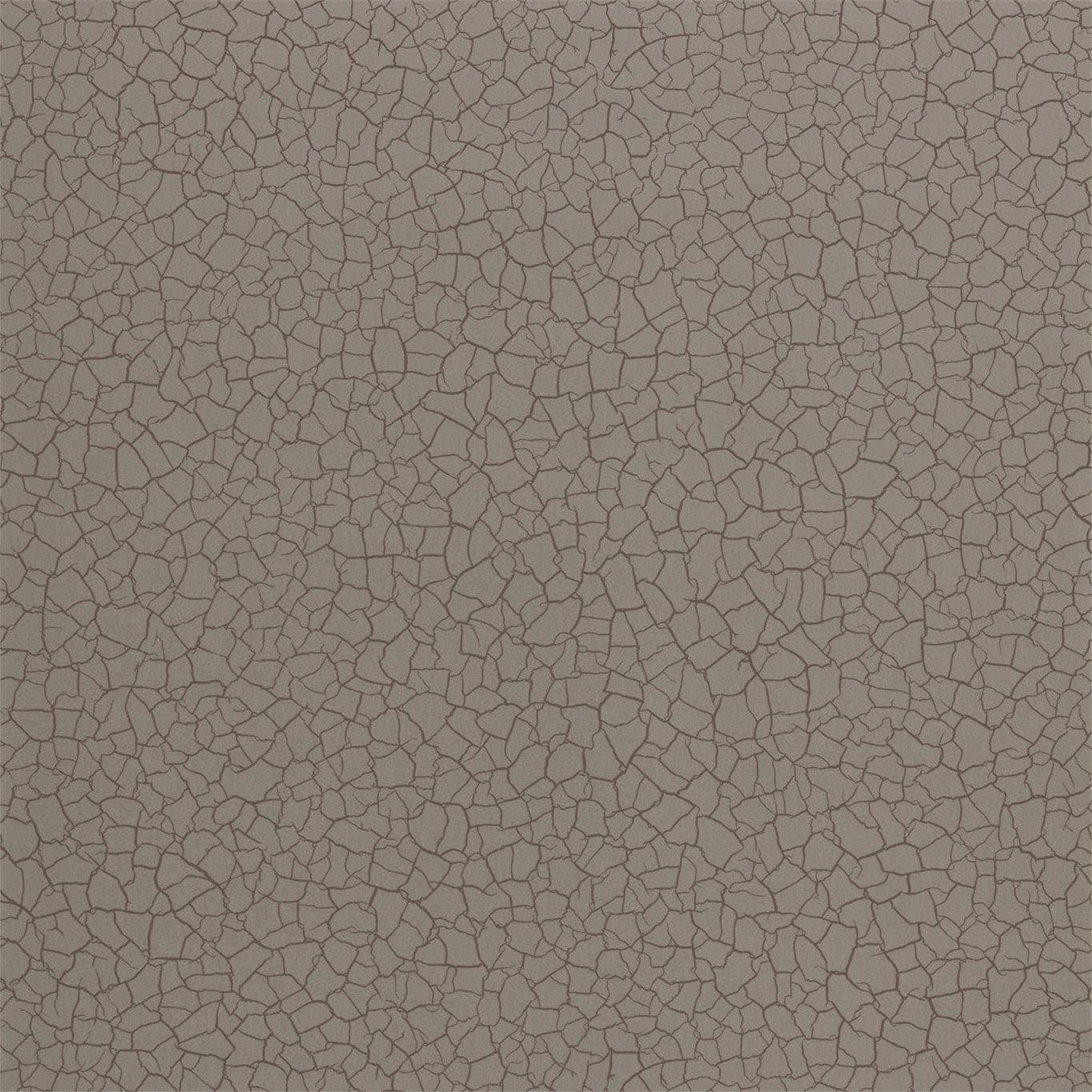 Carta da parati Zoffany Cracked Earth - Brand_Zoffany, Fantasia_Monocromatica - Carte da parati - Zoffany