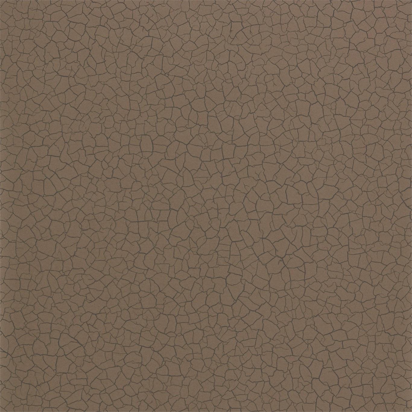 Carta da parati Zoffany Cracked Earth - Brand_Zoffany, Fantasia_Monocromatica - Carte da parati - Zoffany