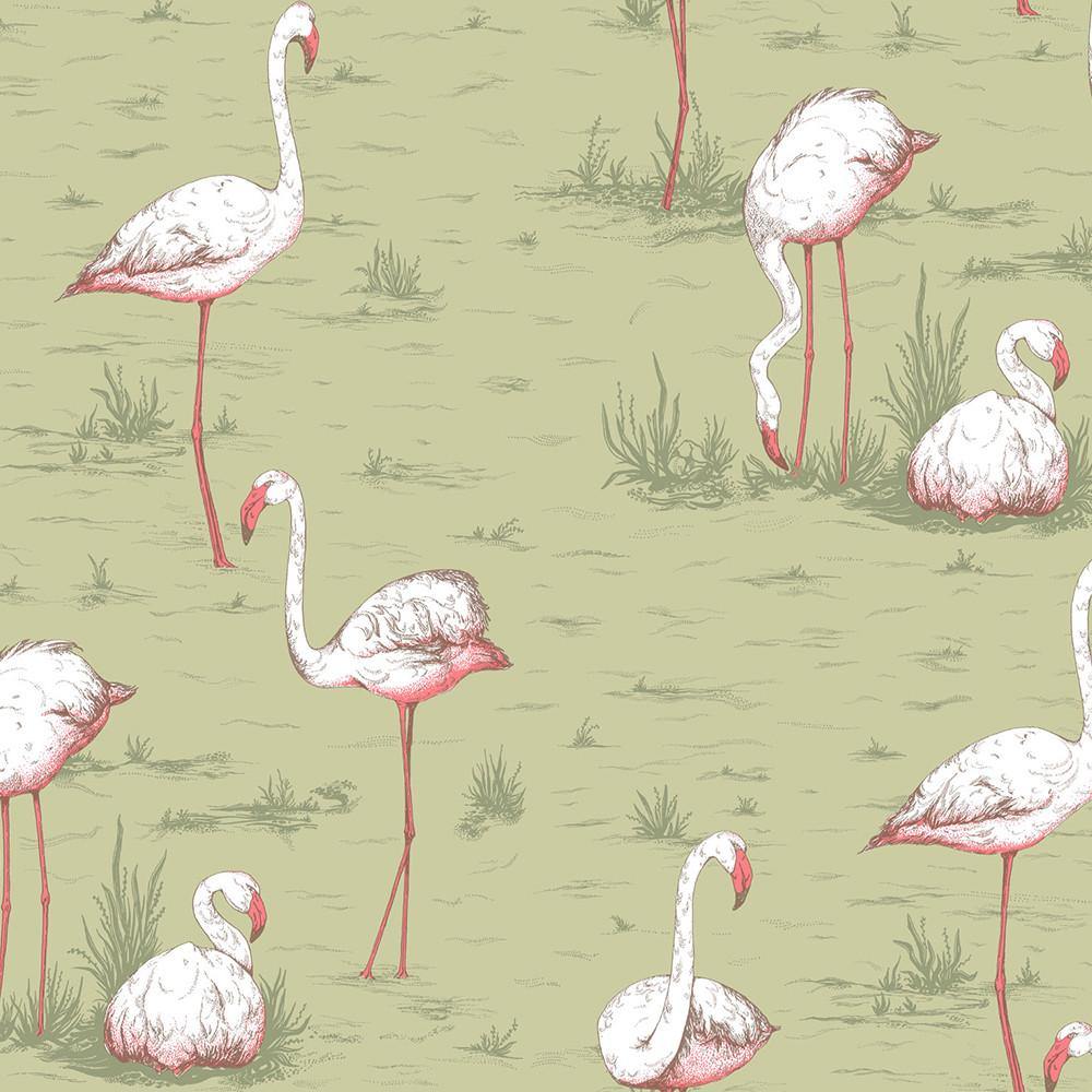 Carta da parati Cole&Son Flamingos - Brand_Cole&Son, Fantasia_Natura - Carte da parati - Cole&Son