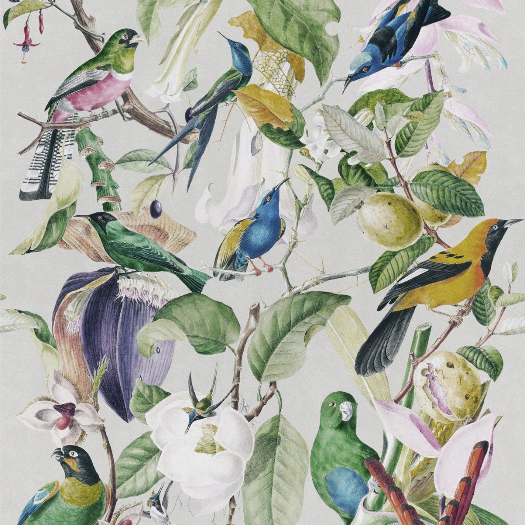 Carta da parati Mindthegap Tropical Birds - Brand_Mindthegap, Fantasia_Natura - Carte da parati - Mindthegap
