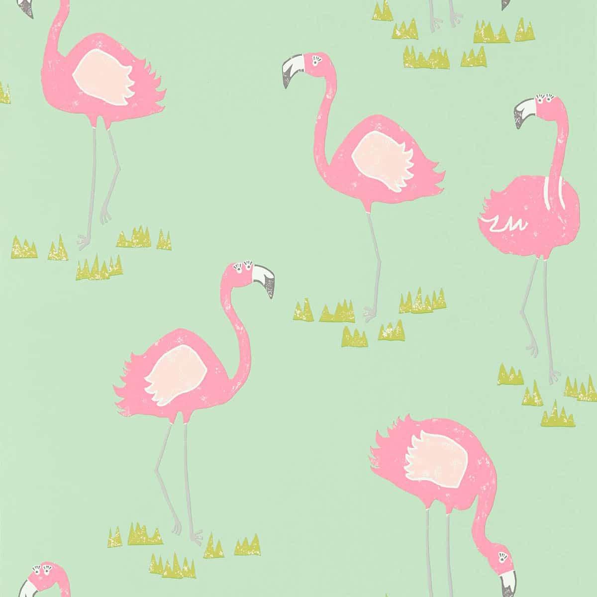 Carta da parati Scion Felicity Flamingo - Brand_Scion, Fantasia_Natura - Carte da parati junior - Scion